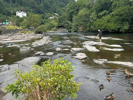 Local river