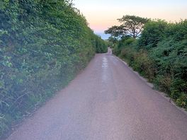 Lane to campsite