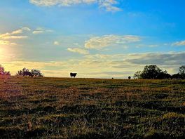 Pitchcott farm