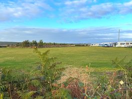 Site view