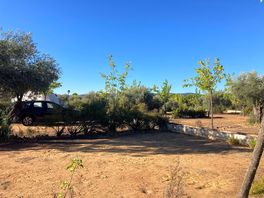 Campsite