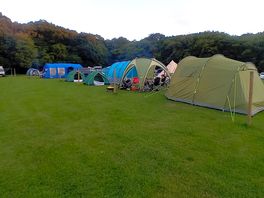 Pitches gave us more than enough room to get 6 people, 4 tents, 1 gazebo and 2 cars adequate room :)