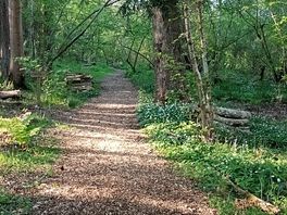 Walks through the woods from walled garden, all part of the site.