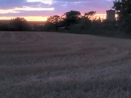 Sky at night from nearby field.