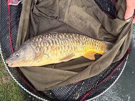 Great fishing