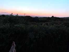 Sunset view