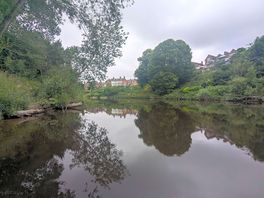 All around the site on river