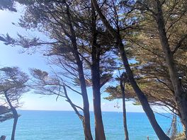 Coast path walk view