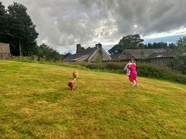 Chickens welcome us in
