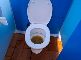 Uncleaned toilet all weekend despite sign saying cleaned and maintained regular