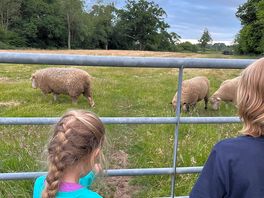 Our neighbours