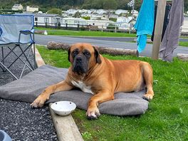 It’s a dogs life! he liked it there..