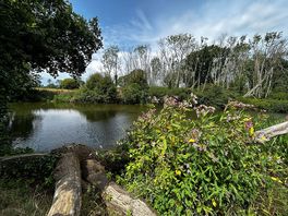 River view