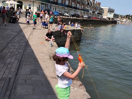 Swanage harbour good for crabbing with the kids watch out for seagull trying to take your bacon 🥓