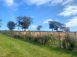 Beautiful day