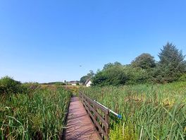 Local rspb reserve. lovely circular walk.