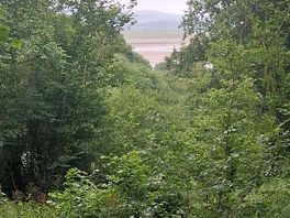 View of the estuary from the campsite