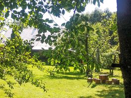 Leafy tent pitches and picnic seating