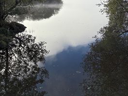 Clear water