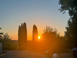 Eveningview