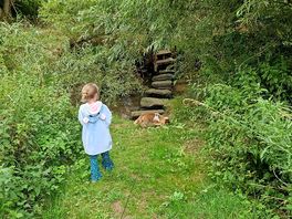 Stopping stones