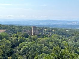 View of the castle
