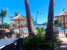 View of small pool from pool bar