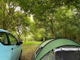 Cosy opportunities for a camp set up