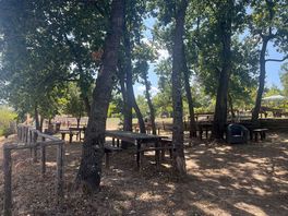 Camp