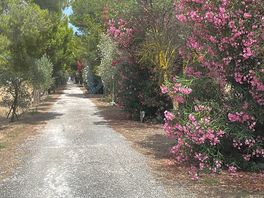 Entrance to the campsite