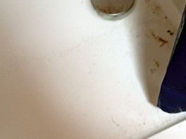 Ça c'est le soir, le matin après toutes les douches à l'abri d'un simple rideau, c'était horrible