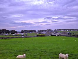 Rowter farm