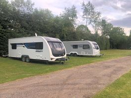 So much space and beautiful tall trees 🌳 🌲