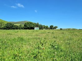 Bramless wild field
