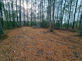 Camping area
