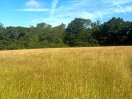 Pitches are thoughtfully mowed areas in the meadow.