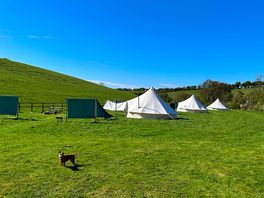 The bell tents