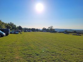 Site field