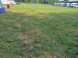 The site