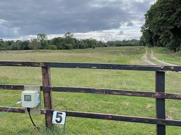 Views of rear of site towards rewilding project