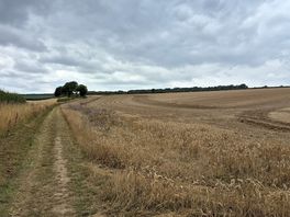 Peaceful walks
