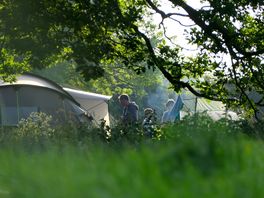 Grassy pitches