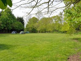 Small field