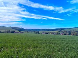 The view