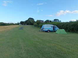 Our pitch