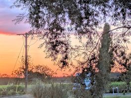 Sunset over the site