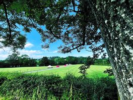 View across the park