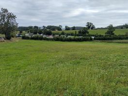 Hondenwandeling