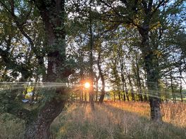 A view from our campervan.