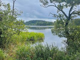 Loch view